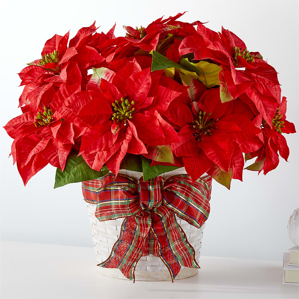 Happiest Holidays Poinsettia – Stardust Flowers, Surrey BC