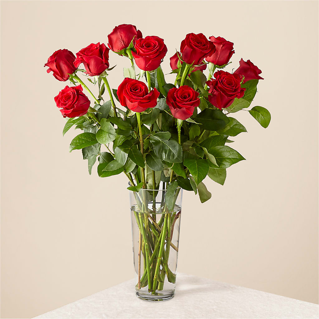 Long Stem Red Rose Bouquet – Stardust Flowers, Surrey BC