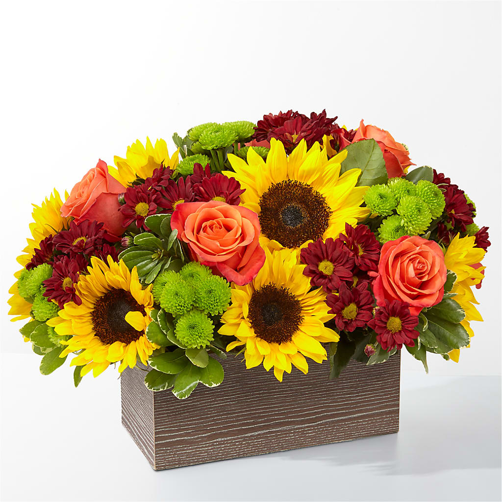 Happy Harvest Garden – Stardust Flowers, Surrey BC