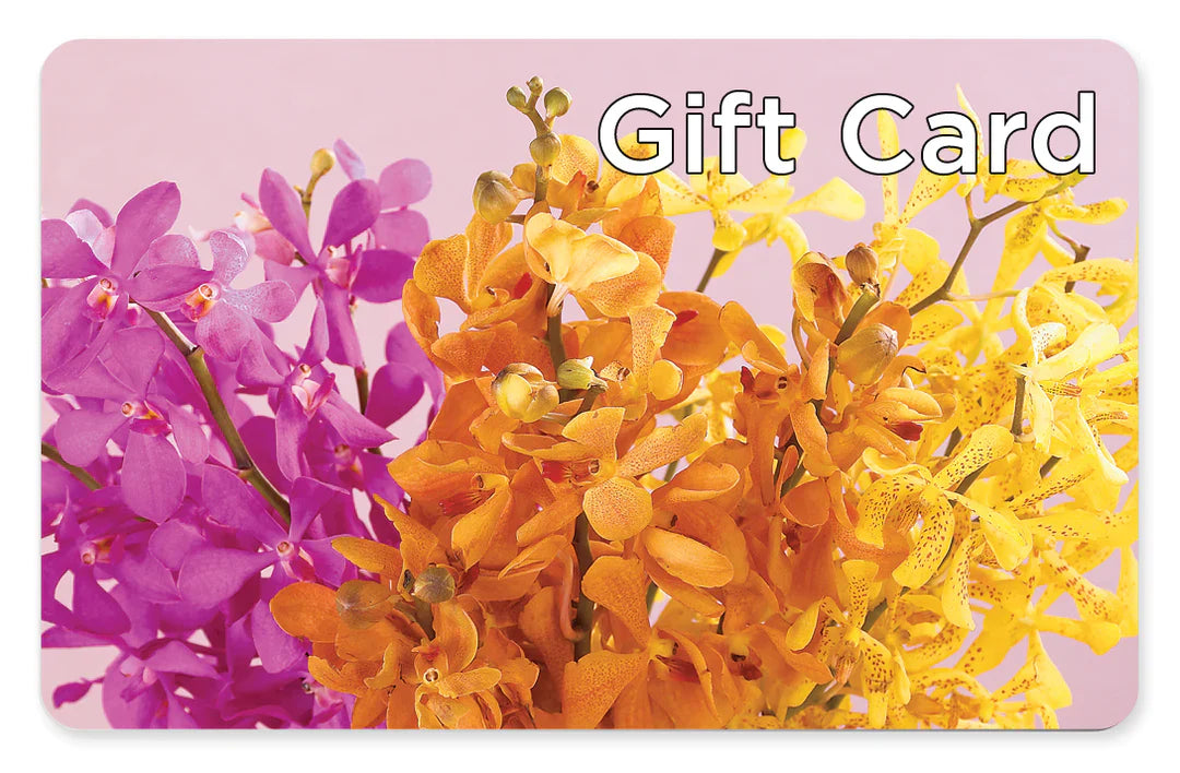 Gift Card – Stardust Flowers, Surrey BC