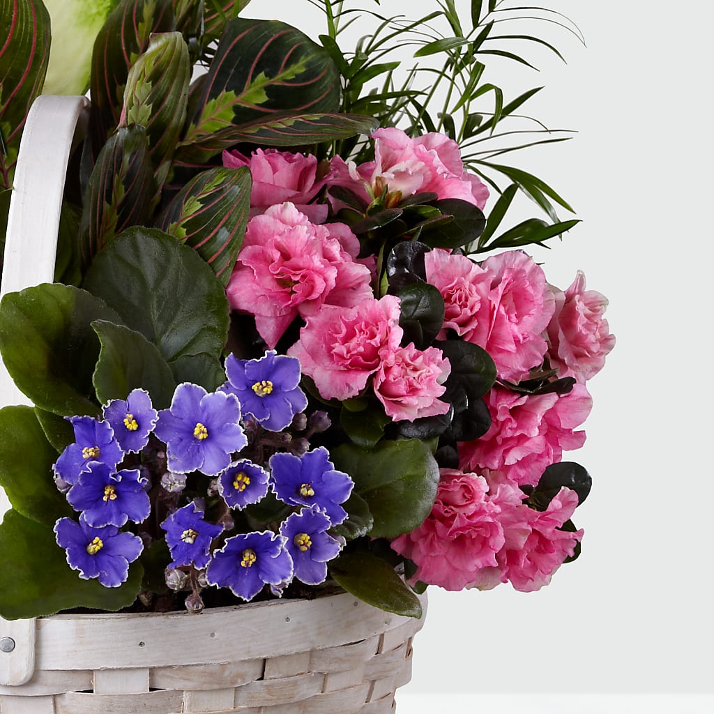Peaceful Garden Planter – Stardust Flowers, Surrey BC