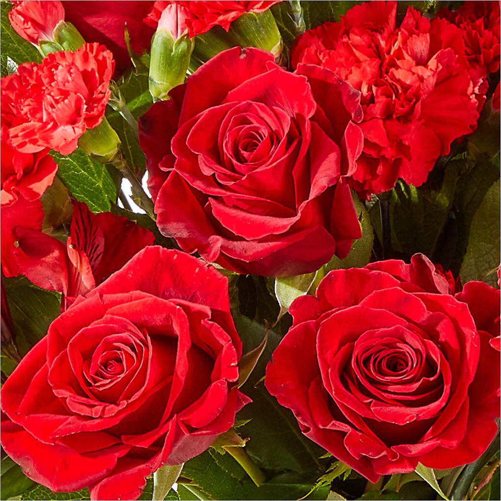 The Heartstrings Bouquet – Stardust Flowers, Surrey BC