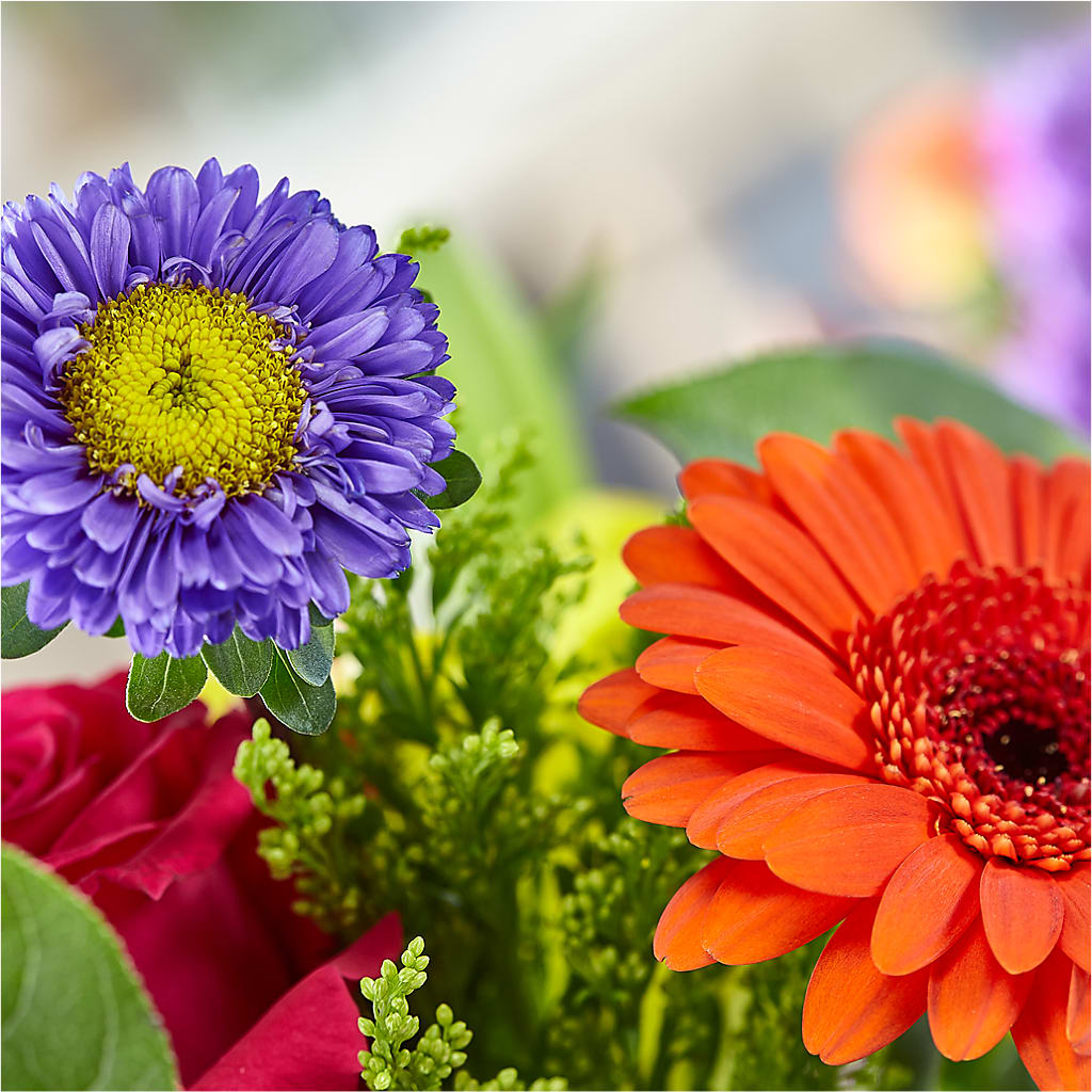Bold & Bright – A Florist Original –  Stardust Flowers, Surrey BC