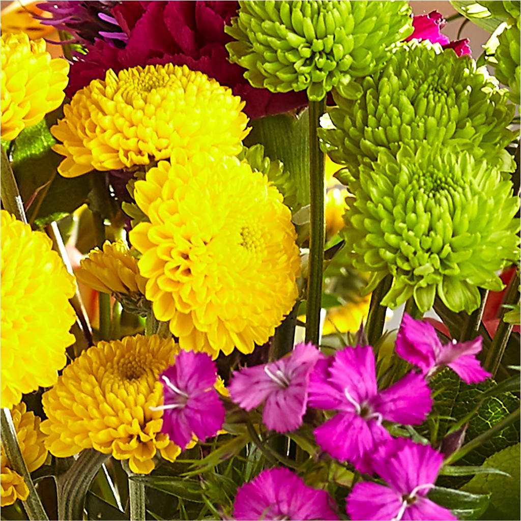 Bold & Bright – A Florist Original –  Stardust Flowers, Surrey BC