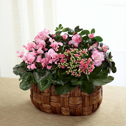 Pink Assortment –  Stardust Flowers, Surrey BC