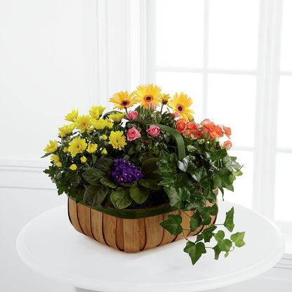 Gentle Blossoms Basket –  Stardust Flowers, Surrey BC