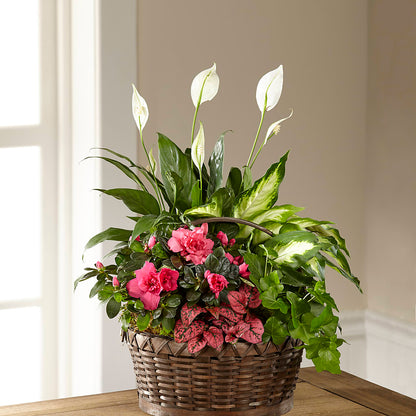 Dream in Pink Dishgarden –  Stardust Flowers, Surrey BC