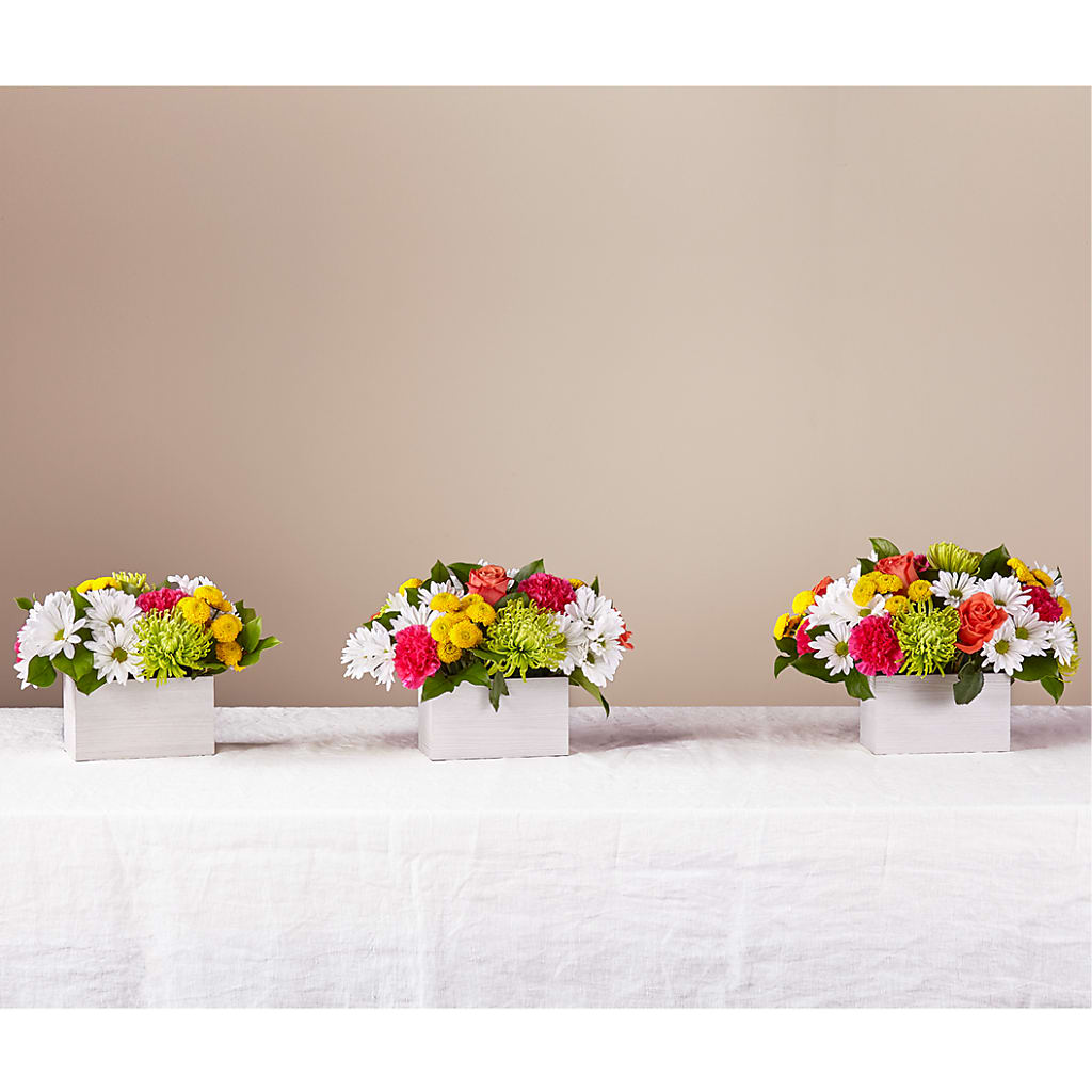Sorbet Bouquet –  Stardust Flowers, Surrey BC