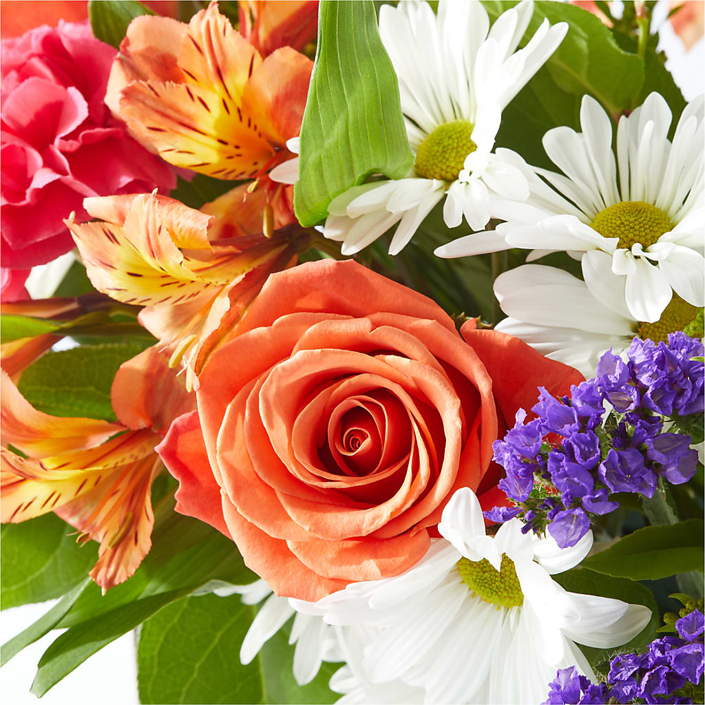 Oopsie Daisy Box Bouquet –  Stardust Flowers, Surrey BC
