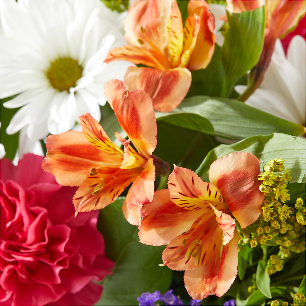 Oopsie Daisy Box Bouquet –  Stardust Flowers, Surrey BC