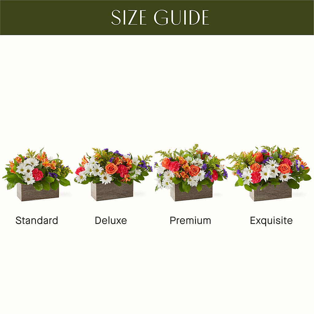 Oopsie Daisy Box Bouquet –  Stardust Flowers, Surrey BC