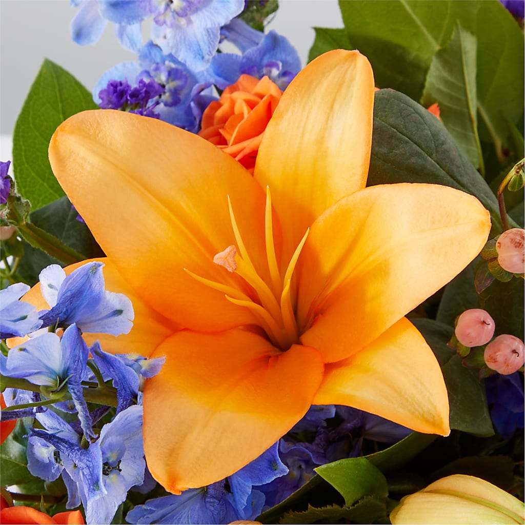 Radiant Citrus Box Bouquet –  Stardust Flowers, Surrey BC
