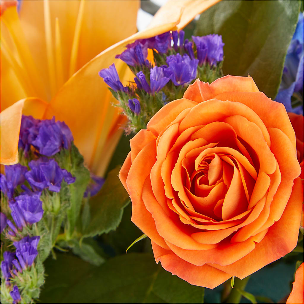 Radiant Citrus Box Bouquet –  Stardust Flowers, Surrey BC