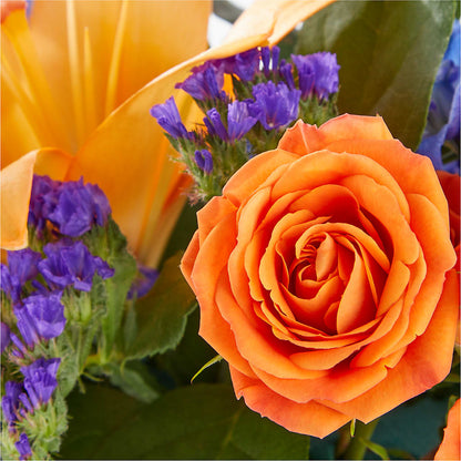 Radiant Citrus Box Bouquet –  Stardust Flowers, Surrey BC