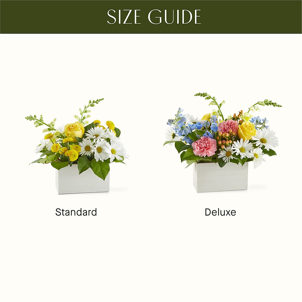 Sun Salutation Box Bouquet –  Stardust Flowers, Surrey BC