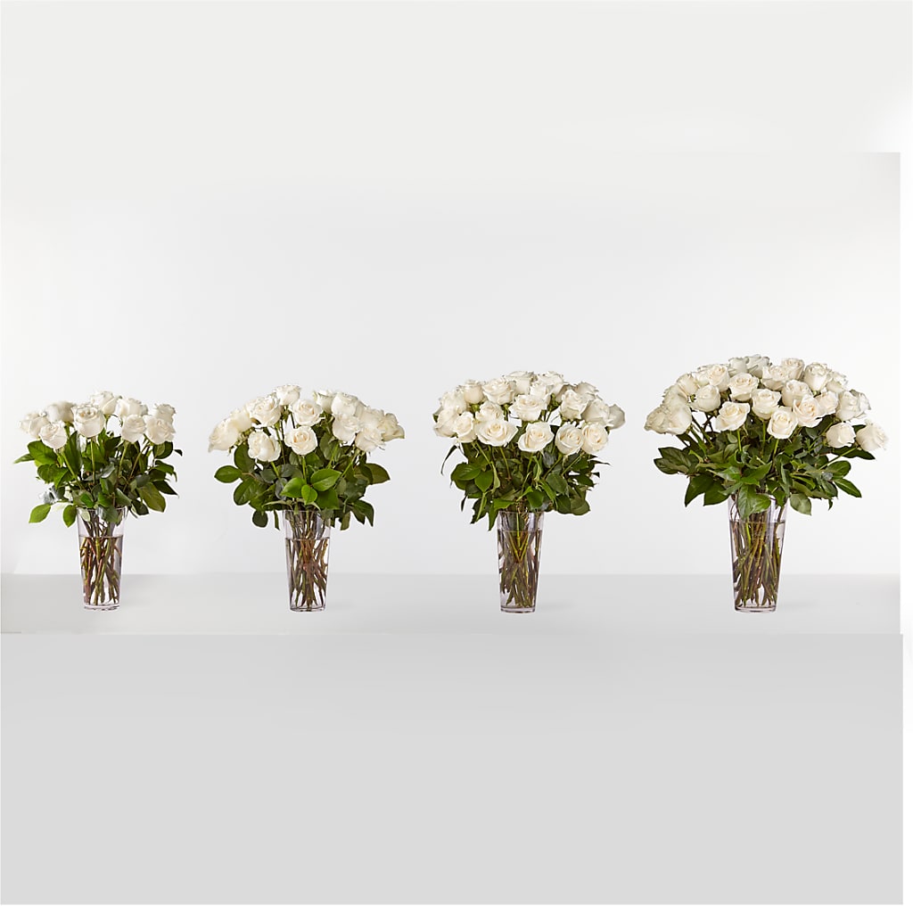 Long Stem White Rose Bouquet –  Stardust Flowers, Surrey BC