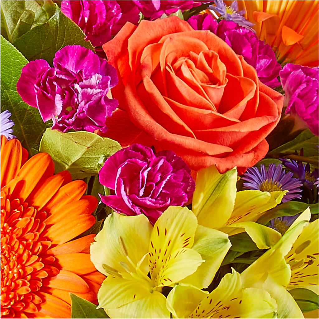 Tricks & Treats Pumpkin –  Stardust Flowers, Surrey BC