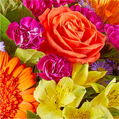 Tricks & Treats Pumpkin –  Stardust Flowers, Surrey BC
