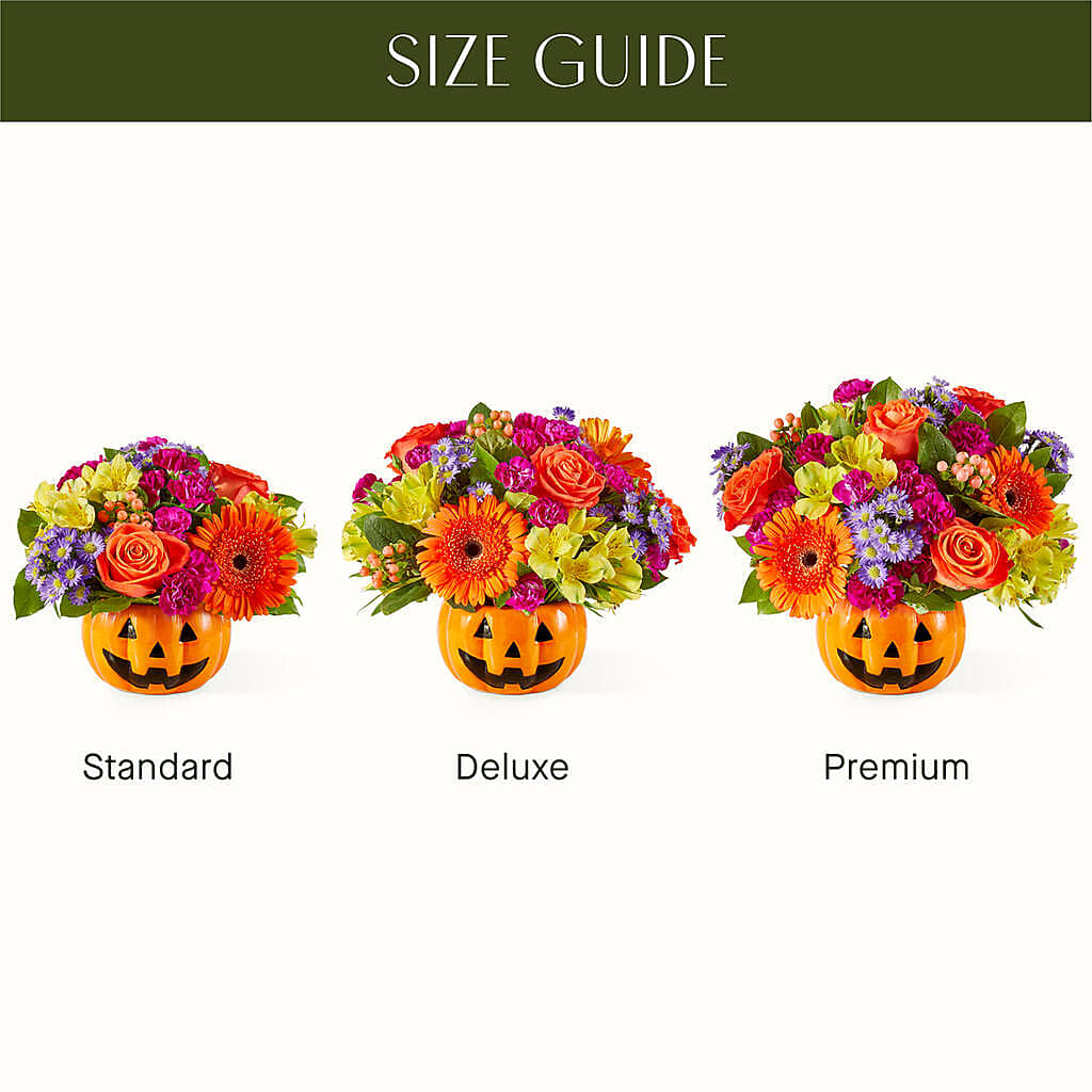 Tricks & Treats Pumpkin –  Stardust Flowers, Surrey BC