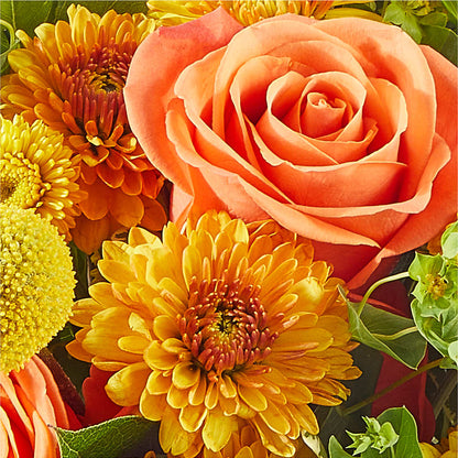 Gourdgeous Pumpkin –  Stardust Flowers, Surrey BC