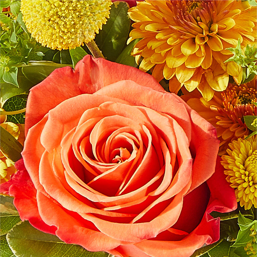 Gourdgeous Pumpkin –  Stardust Flowers, Surrey BC