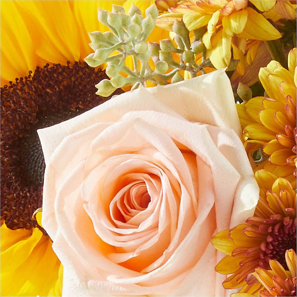 Pumpkin to Talk About Bouquet –  Stardust Flowers, Surrey BC