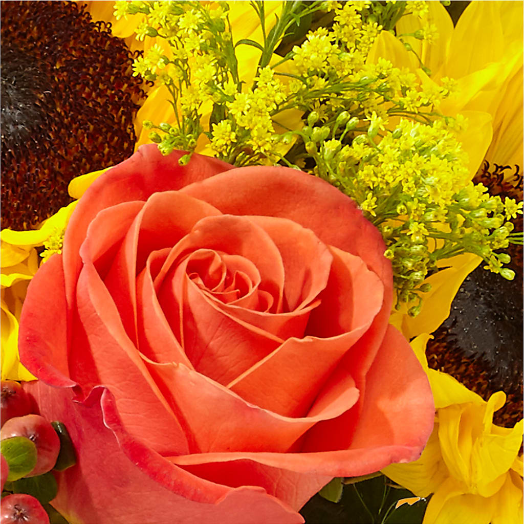 Pick of the Patch Pumpkin Bouquet –  Stardust Flowers, Surrey BC