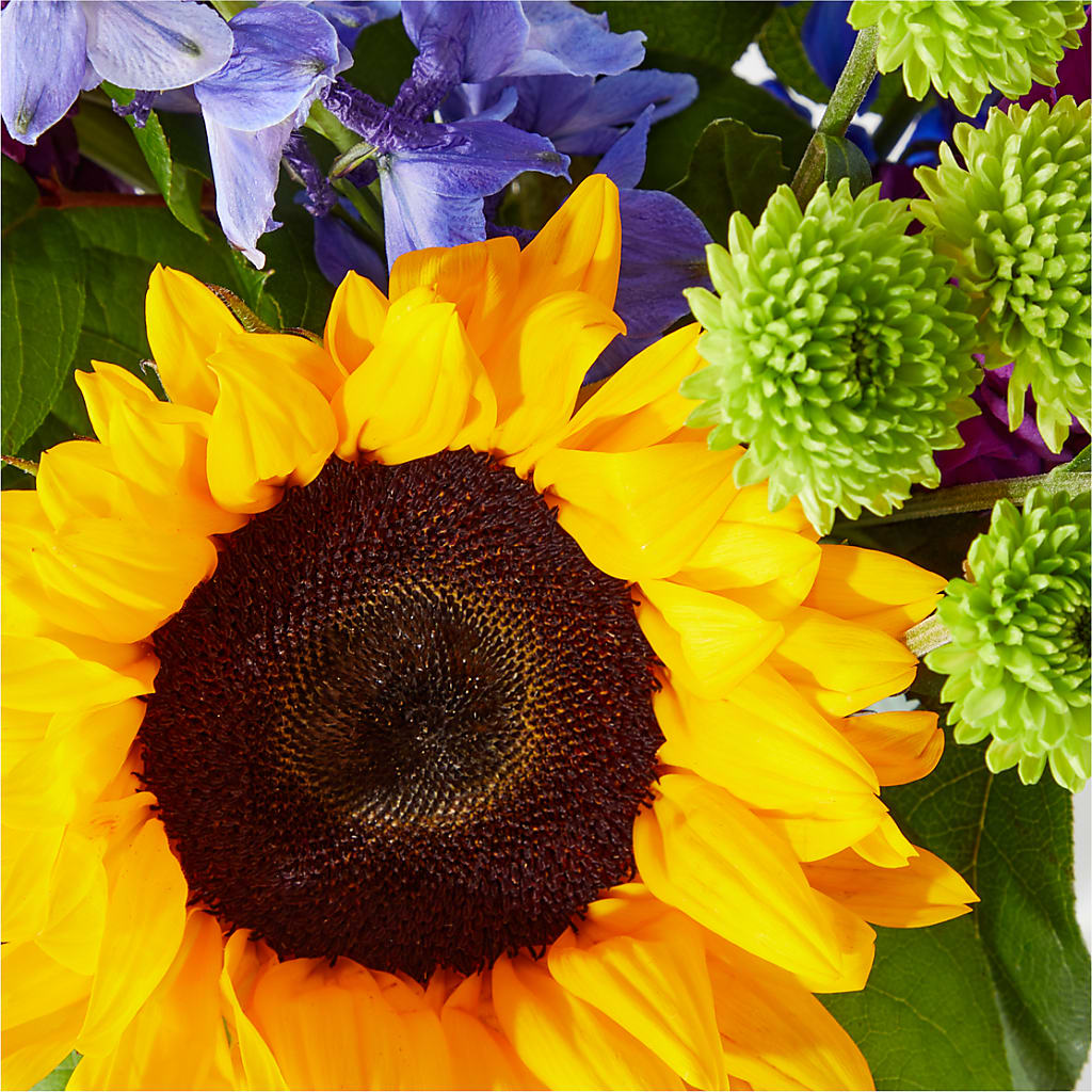 Catching Rays Bouquet –  Stardust Flowers, Surrey BC