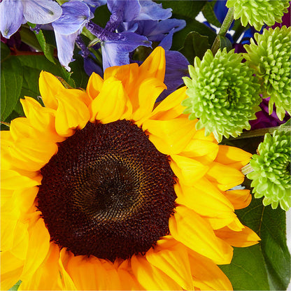 Catching Rays Bouquet –  Stardust Flowers, Surrey BC