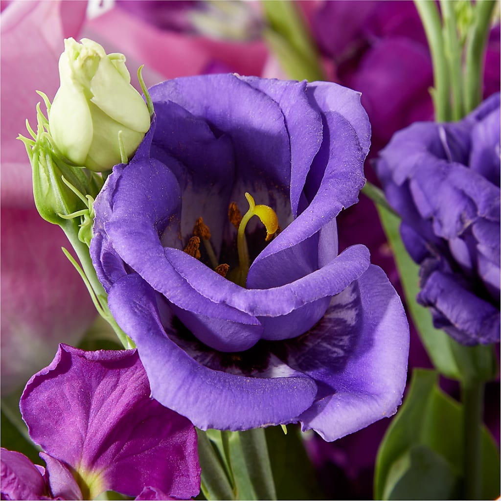 Twilight Glow Bouquet –  Stardust Flowers, Surrey BC