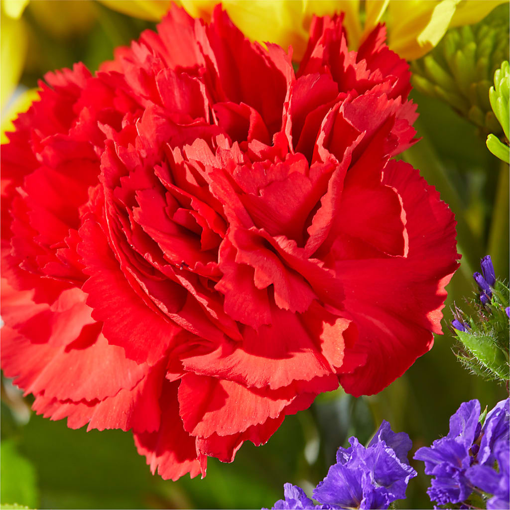 Brighter Days Bouquet –  Stardust Flowers, Surrey BC