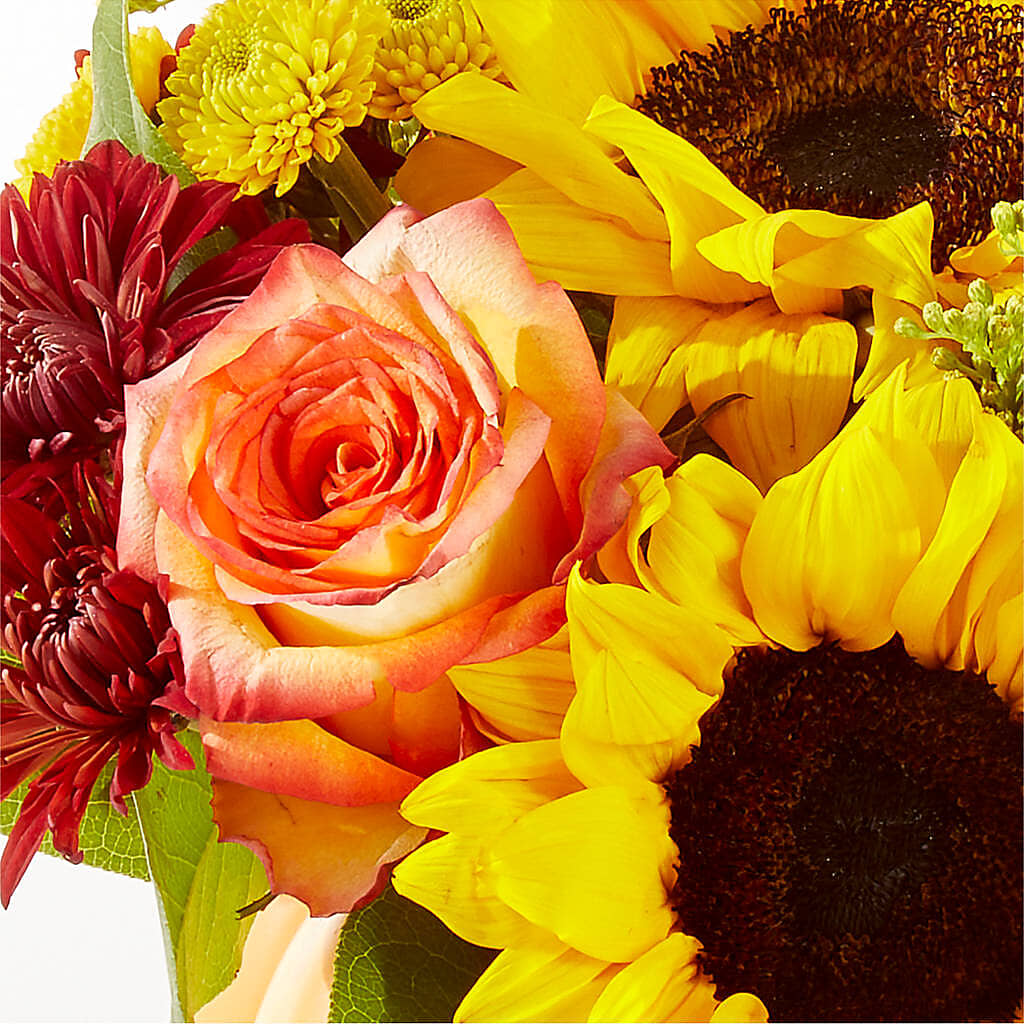 Golden Gourd Pumpkin Bouquet –  Stardust Flowers, Surrey BC