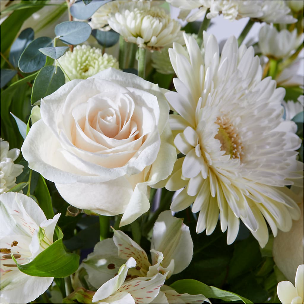 New Beginnings – A Florist Original –  Stardust Flowers, Surrey BC