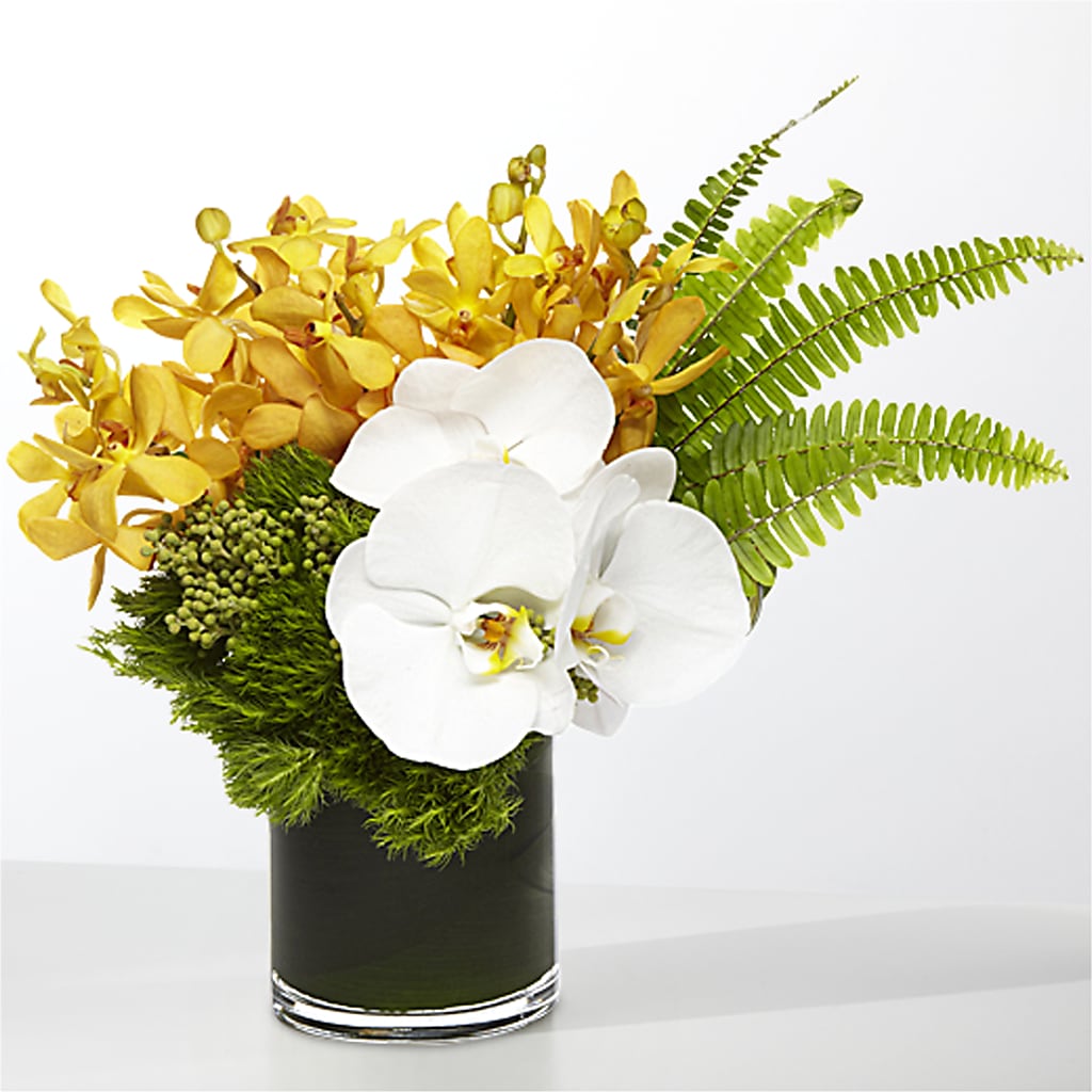 The Tropics –  Stardust Flowers, Surrey BC