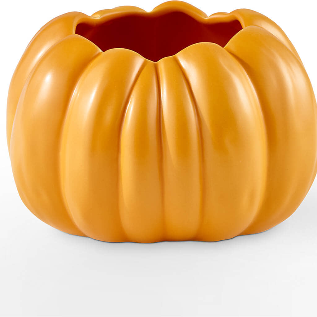 Golden Gourd Pumpkin Bouquet –  Stardust Flowers, Surrey BC