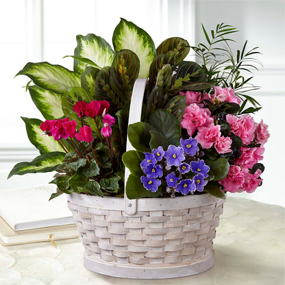Peaceful Garden Planter –  Stardust Flowers, Surrey BC