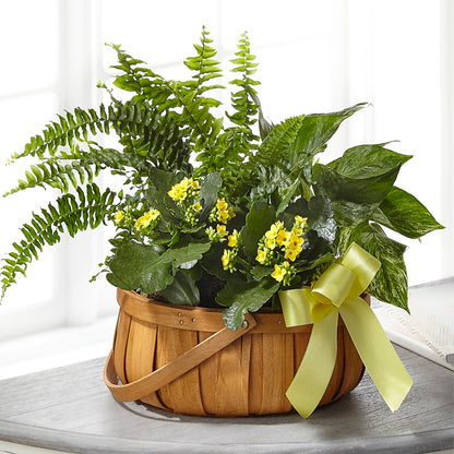 Always Dear Dishgarden –  Stardust Flowers, Surrey BC