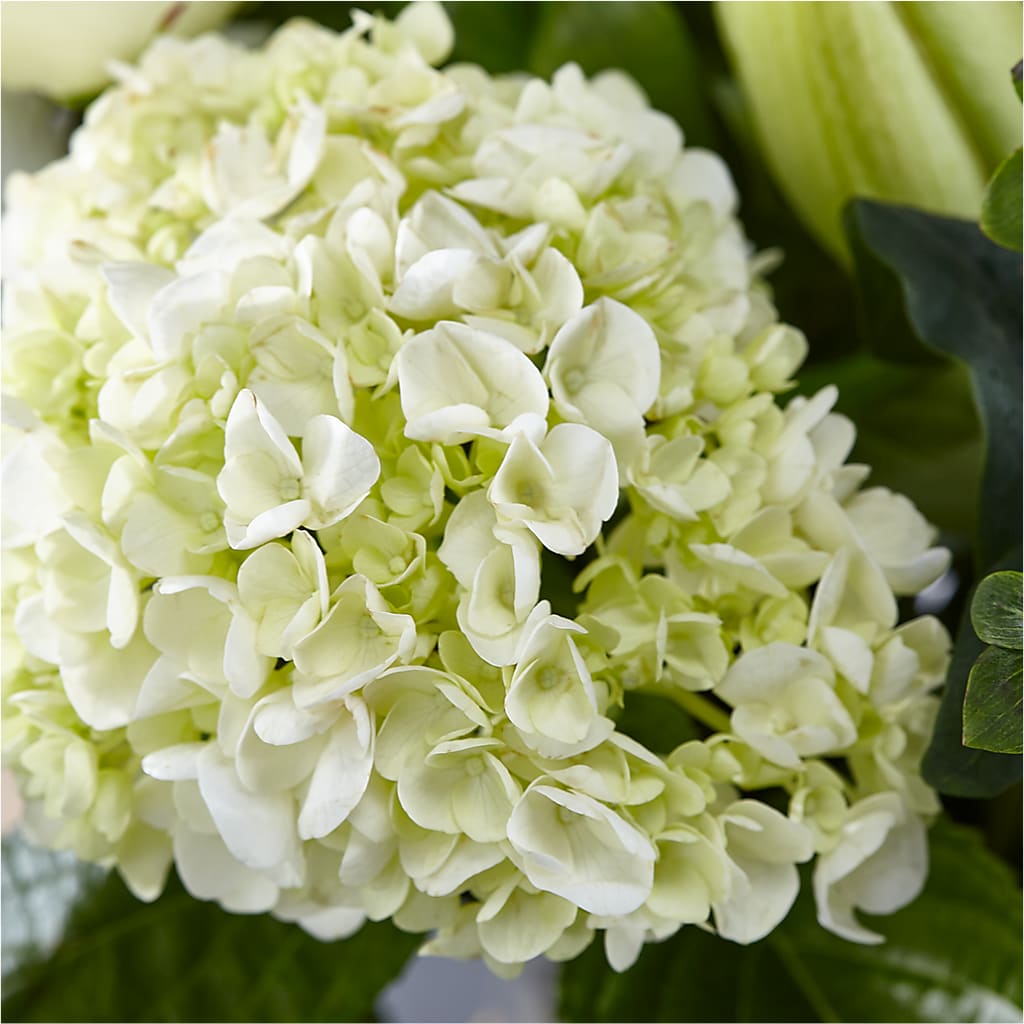 Classic Ivory – A Florist Original –  Stardust Flowers, Surrey BC