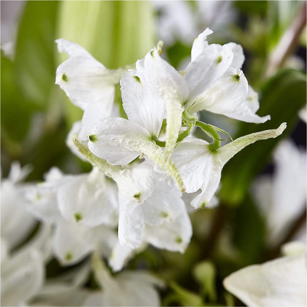 Classic Ivory – A Florist Original –  Stardust Flowers, Surrey BC