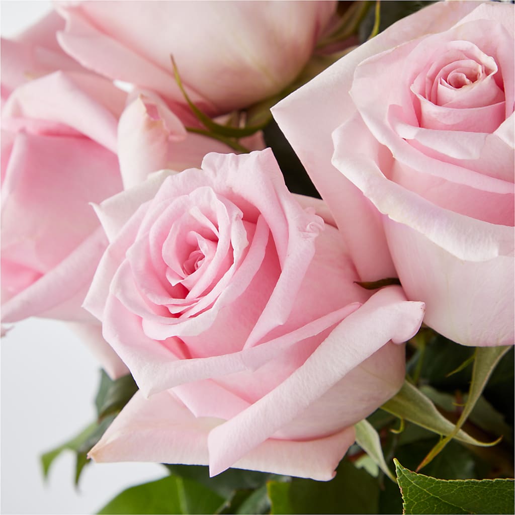 Picture Perfect Pink Rose Bouquet –  Stardust Flowers, Surrey BC
