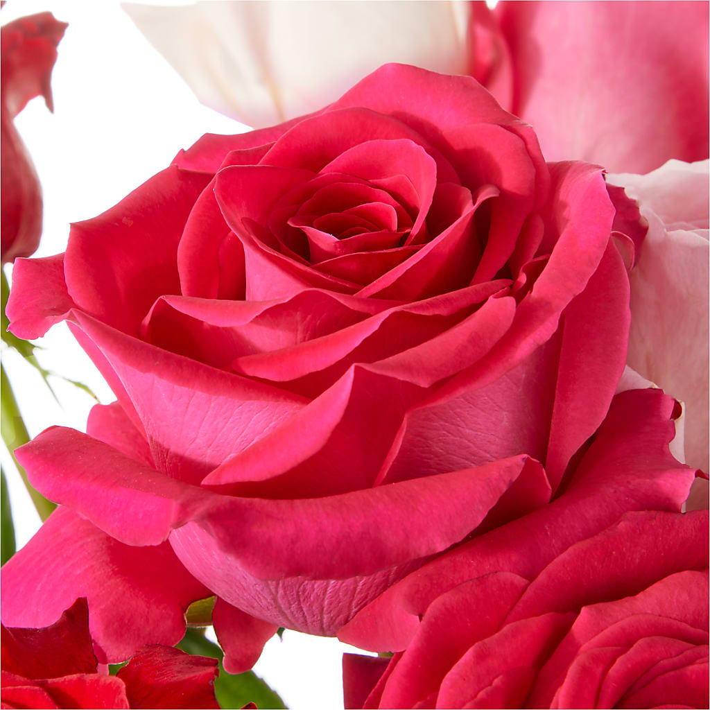 Love Notes Rose Bouquet –  Stardust Flowers, Surrey BC