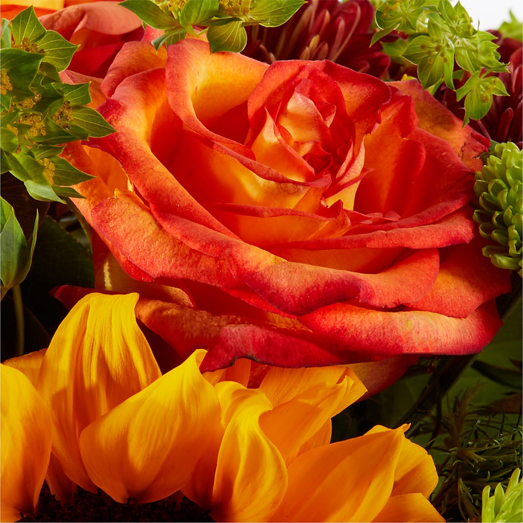 Harvest Festival Bouquet –  Stardust Flowers, Surrey BC