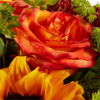 Harvest Festival Bouquet –  Stardust Flowers, Surrey BC