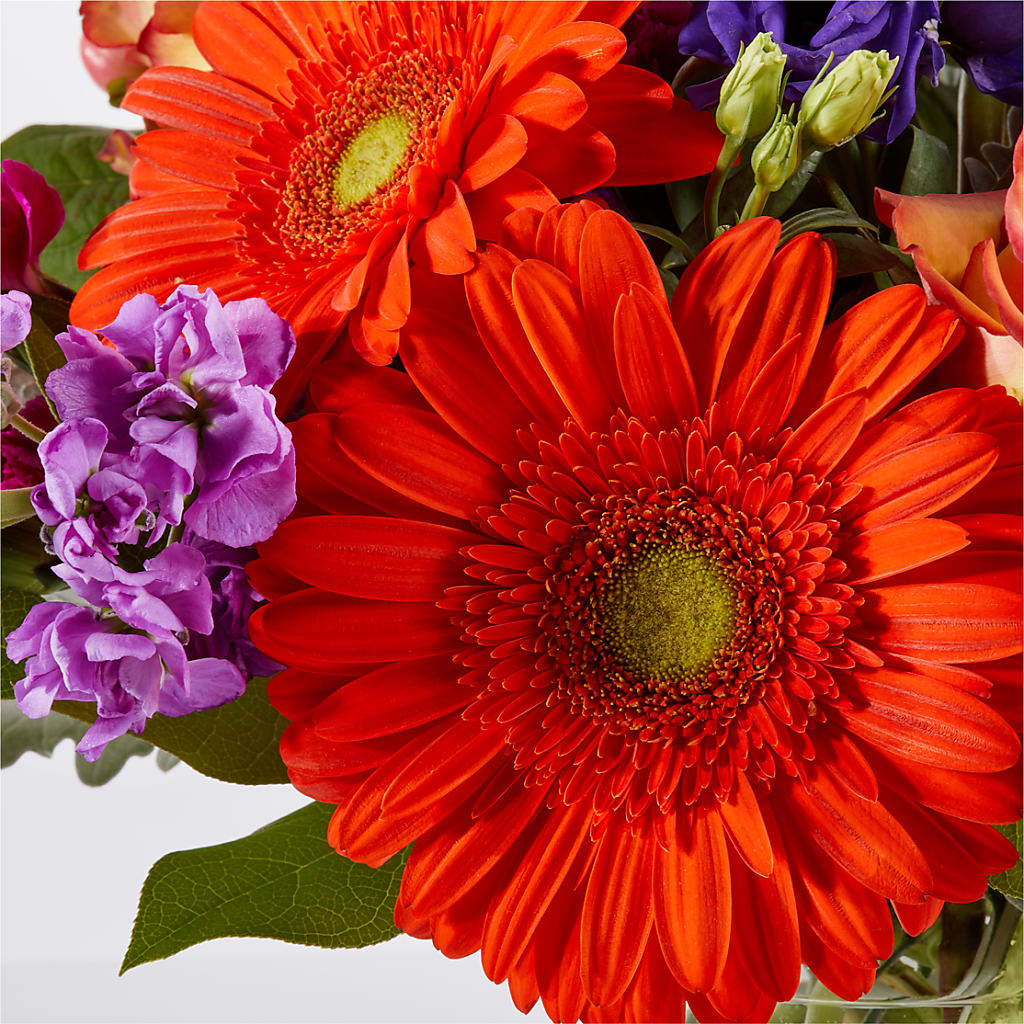 Sangria Bouquet –  Stardust Flowers, Surrey BC