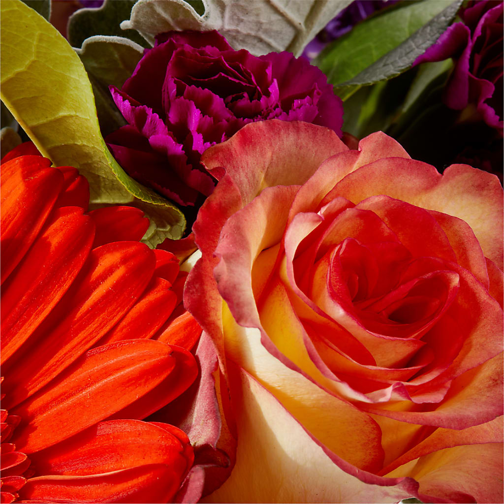 Sangria Bouquet –  Stardust Flowers, Surrey BC