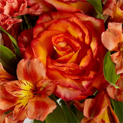 Apricot Glow Bouquet –  Stardust Flowers, Surrey BC