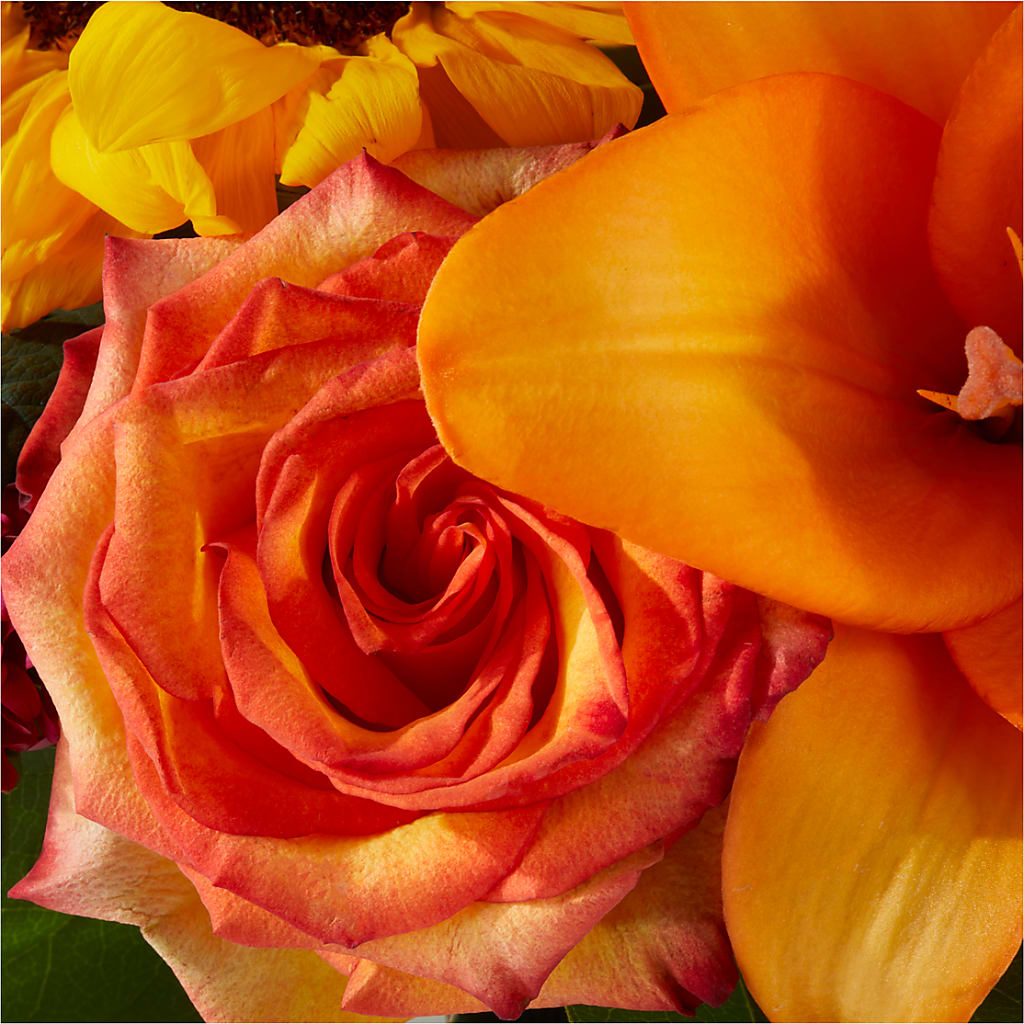 Grateful Centerpiece –  Stardust Flowers, Surrey BC