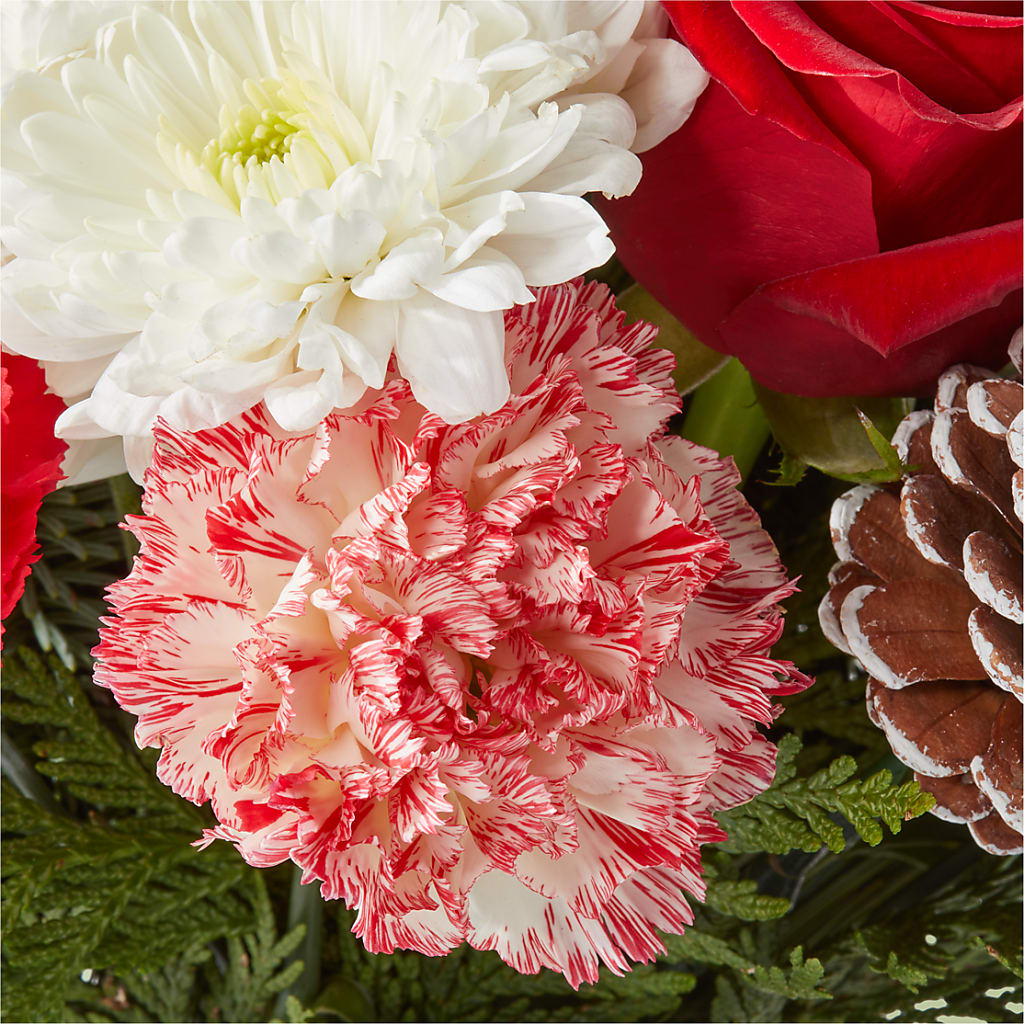 Candy Cane Lane Bouquet –  Stardust Flowers, Surrey BC