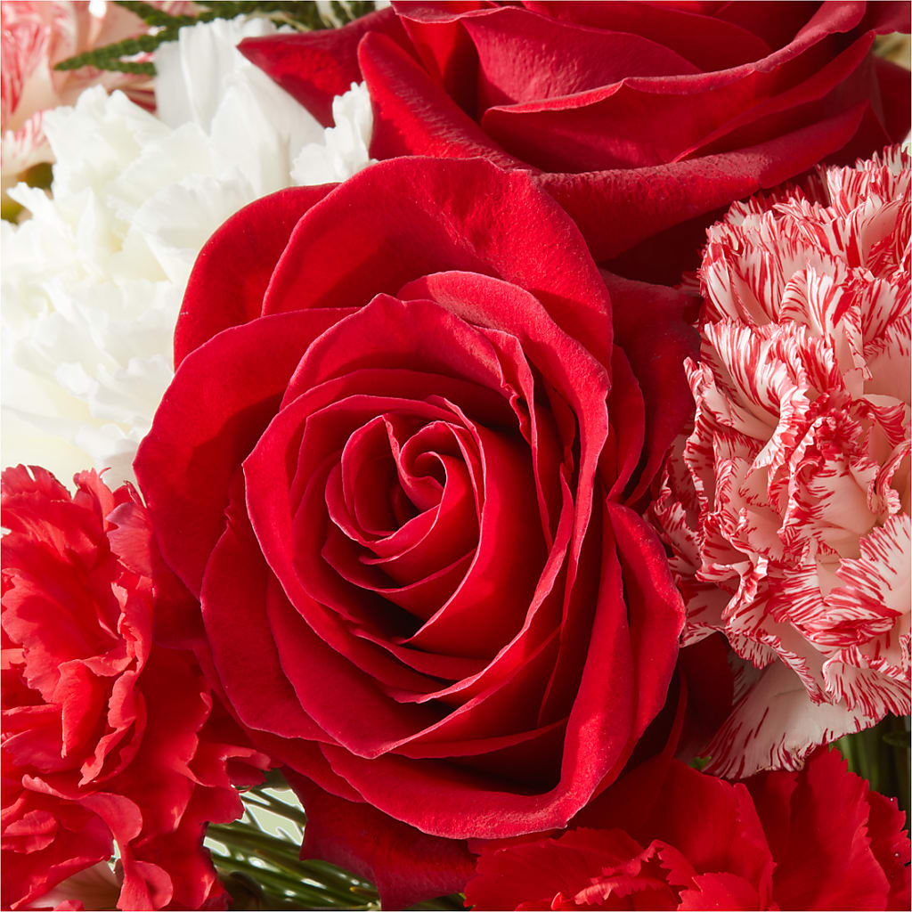 Candy Cane Lane Bouquet –  Stardust Flowers, Surrey BC