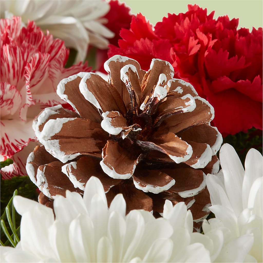 Candy Cane Lane Bouquet –  Stardust Flowers, Surrey BC